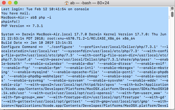 phpinfo shown