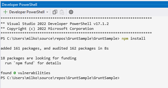 Running npm install