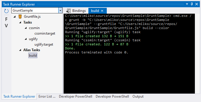 Task Runner Explorer