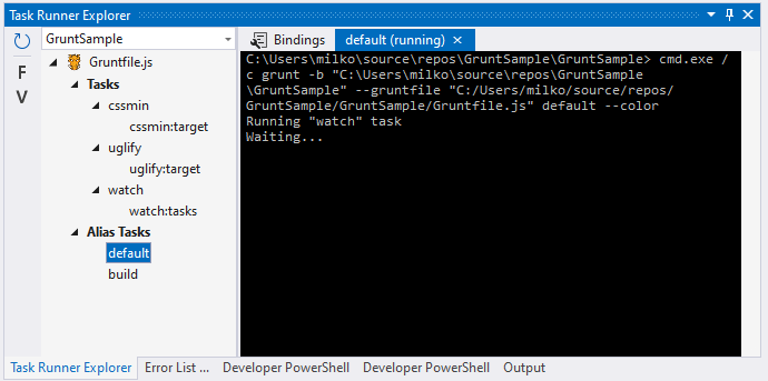 Watch task is running