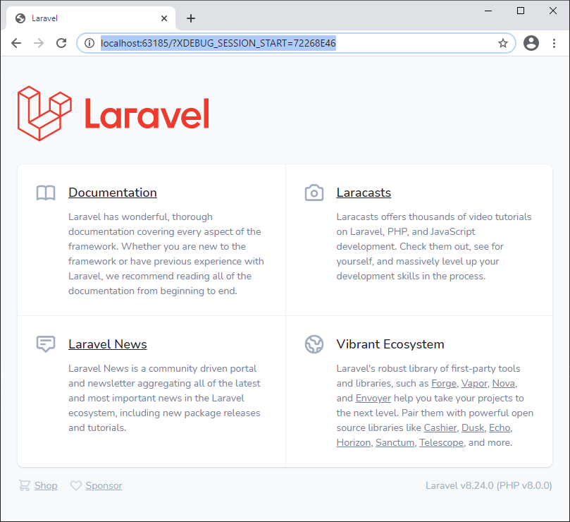 Initial Laravel page
