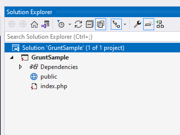 Web root icon in the Solution Explorer