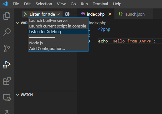 Visual Studio Code launch.json